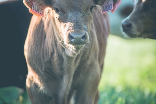 Nová vzdělávací farma pro školy ze Zlínského kraje 1