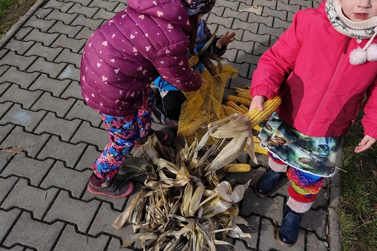 Připravujeme naši zahradu k odpočinku 1
