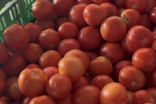 Říďová na farmě  1