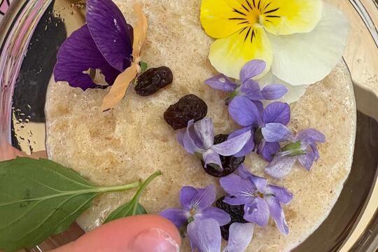 Ke svačině jaro  1