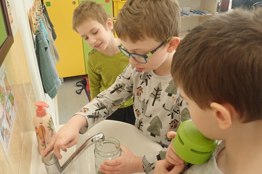 Klíčení mungo fazolí 1