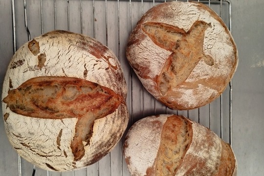 Kurz kvasového chlebu v Bistrotéce Valachy  1