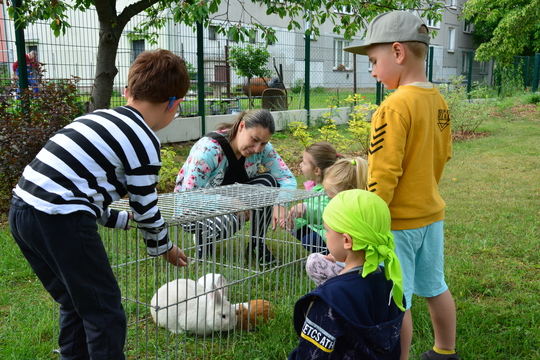 Dětské farmářské dopoledne v Dobroškolce 1