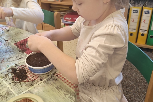 Bylinková radost v naší školce 1