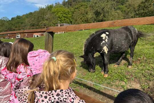 Modráček na Farmě Skalka Modráček na Farmě Skalka 1