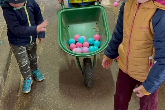 Návštěva stájí 1