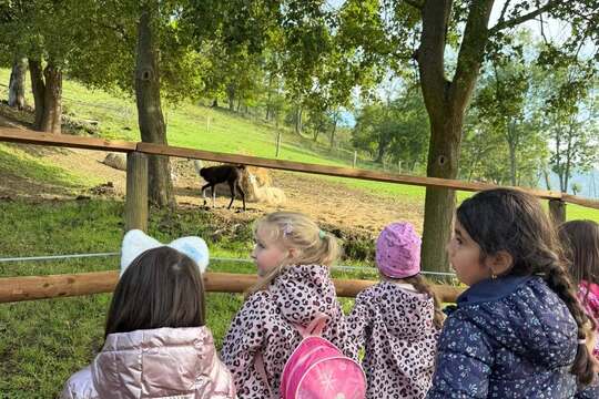 Modráček na Farmě Skalka Modráček na Farmě Skalka 1
