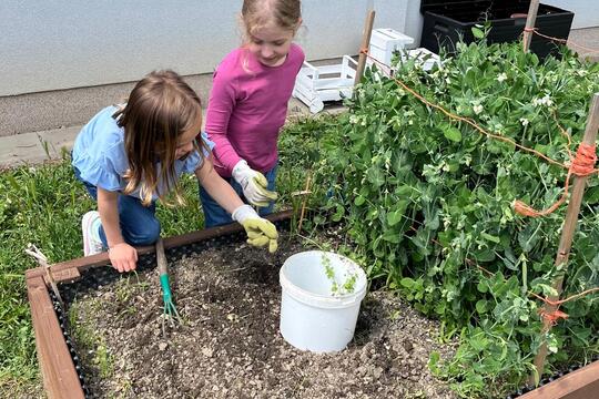 Vyvýšené záhony  1