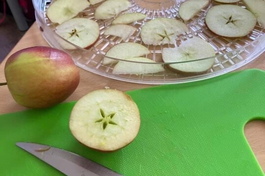 Školní farmářský trh školy Svět 1