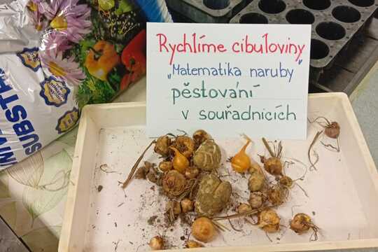 „Matematika naruby aneb pěstujeme v souřadnicích“ 1