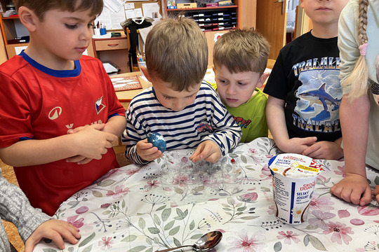 Vejce a červené zelí - Kytičky 1