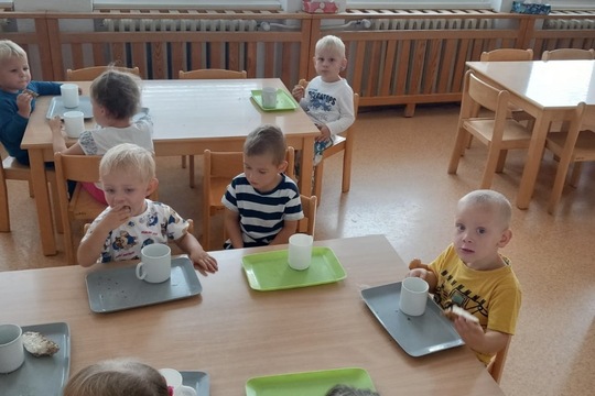 Lilek z naší zahrádky Lilek z naší zahrádky 1