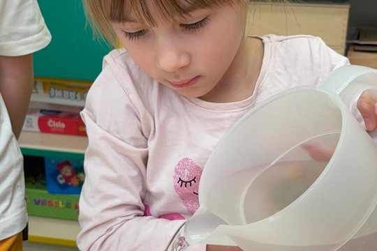 Ledová lednová krmítka  1