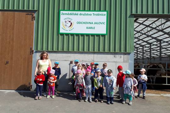 Návštěva dojírny, telátek a jalovic 1