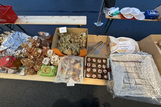 Rozsvícení vánočního stromečku s farmářským a školním jarmarkem 1