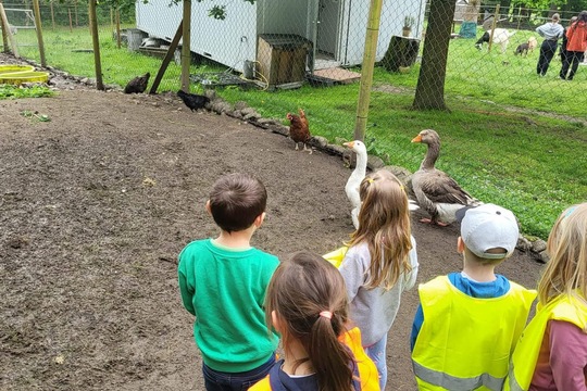 Farma Kozodoj Farma Kozodoj 1