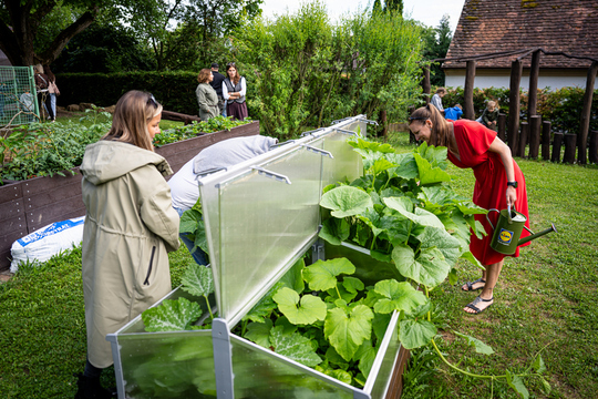 Slavnostní otevření nové jedlé školní zahrady v MŠ Neděliště Slavnostní otevření nové jedlé školní zahrady v MŠ Neděliště 1