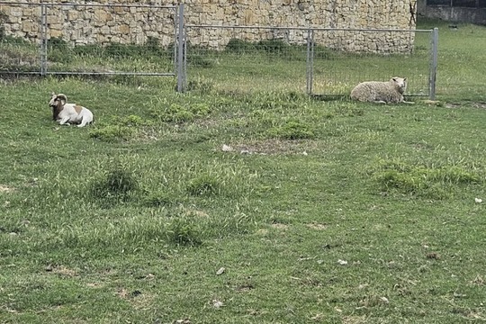 Předškoláci vyrazili na farmu do Slavětína 1