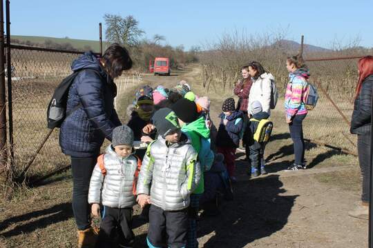 Ochutnávka sýrů od farmáře 1