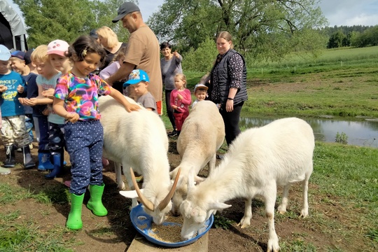 Výlet na farmu  1