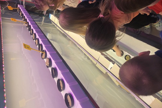 Berušky z MŠ Kollárova sází bylinky do hydroponické zahrádky Berušky z MŠ Kollárova sází bylinky do hydroponické zahrádky 1