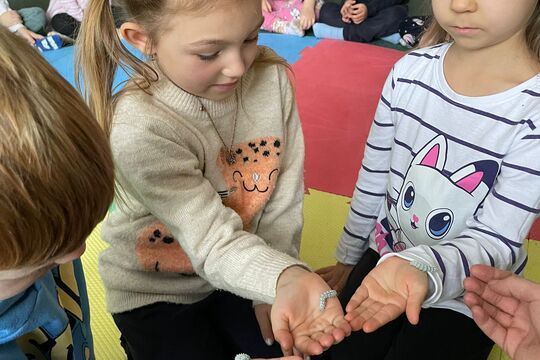 Naše housenky - budeme mít motýlky 1