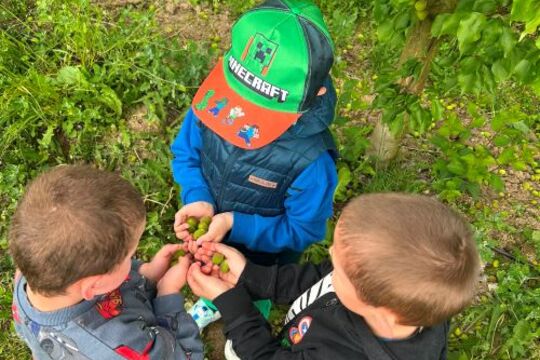 Za naším farmářem do Těchobuzic Za naším farmářem do Těchobuzic 1
