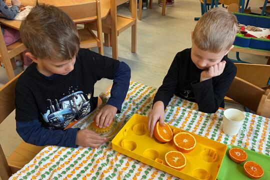 Pomerančový fresh 1