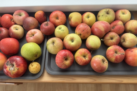 Zdravá pochoutka z jablek 1