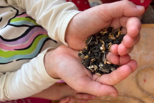 Závěsná krmítka - Sluníčka 1