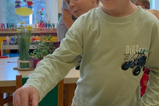 Čerstvý sýr a farma  1
