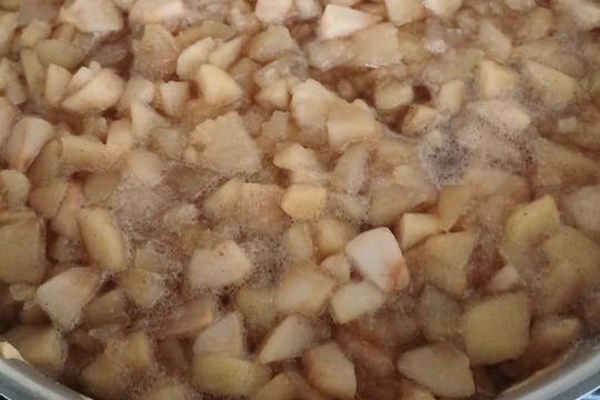 Jablečné kompotování 1