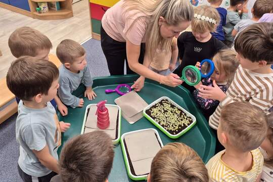 Microgreen v Zahrádce 1