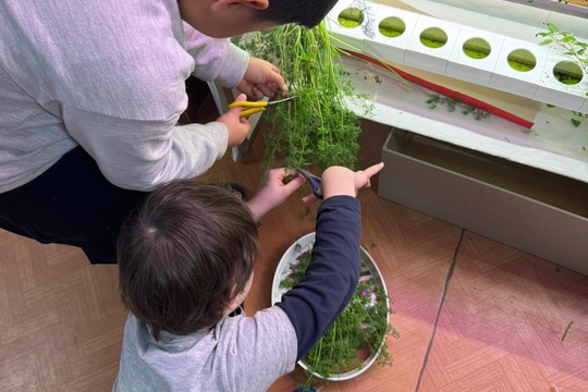 Třída Veverky - Kopr z hydroponické zahrádky 1