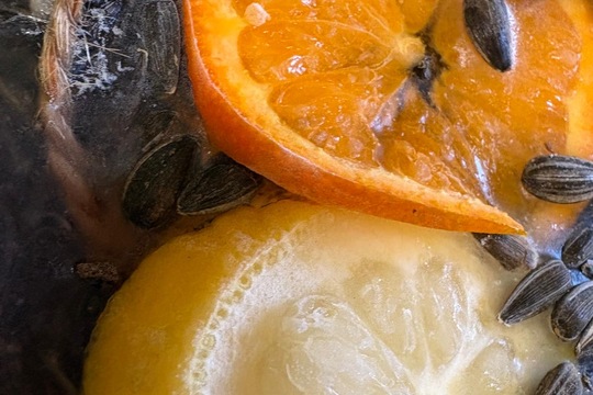 Ledová lednová krmítka  1