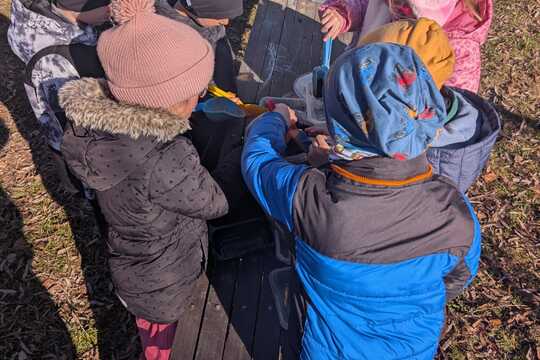 Sázení rostlinek 1