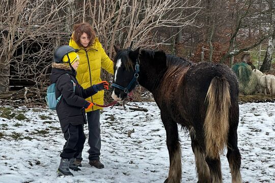 Návštěva poníků v Lísce Návštěva poníků v Lísce 1