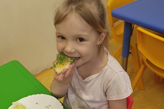 Bylinková radost v naší školce 1