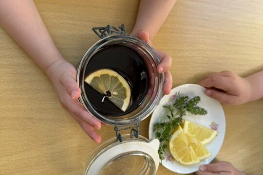 Tymiánový sirup 1