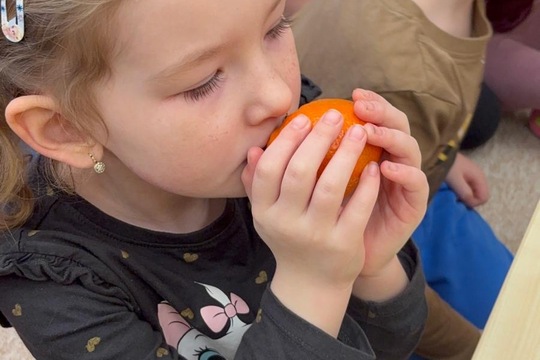 Ovoce a naše smysly  1