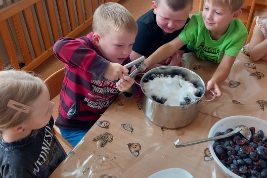 Podzimní sklizeň švestek  1