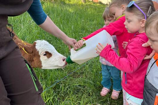 Propojení věkových skupin na farmě u Sedlářů 1