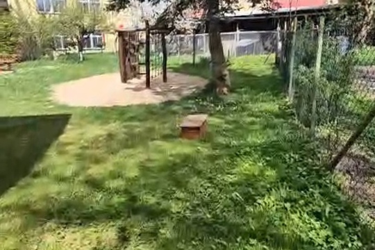 Cesta k jedlé zahradě. Cesta k jedlé zahradě. 1