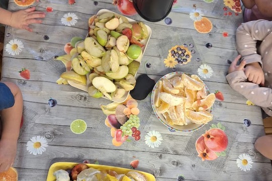 LEDEN plný VITAMÍNŮ 1