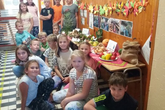 Regionální výstava ovoce,zeleniny a květin 2018 1