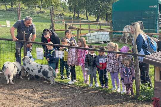 Modráček na Farmě Skalka Modráček na Farmě Skalka 1