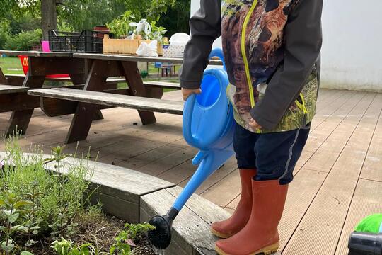 Naše bylinková zahrádka 1