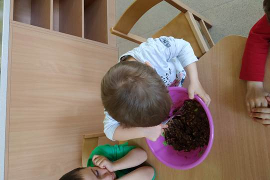 Chefs in Training - Paleo Avocado pudding 1