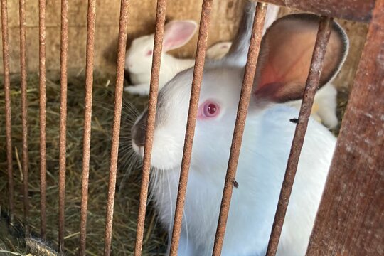 Naše školka v přírodě na farmě 1