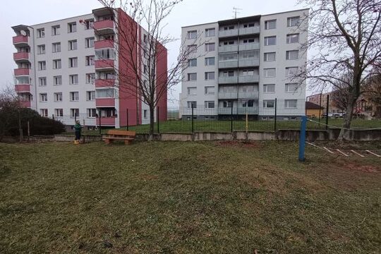 Sázení stromů na školní přírodní zahradě 1